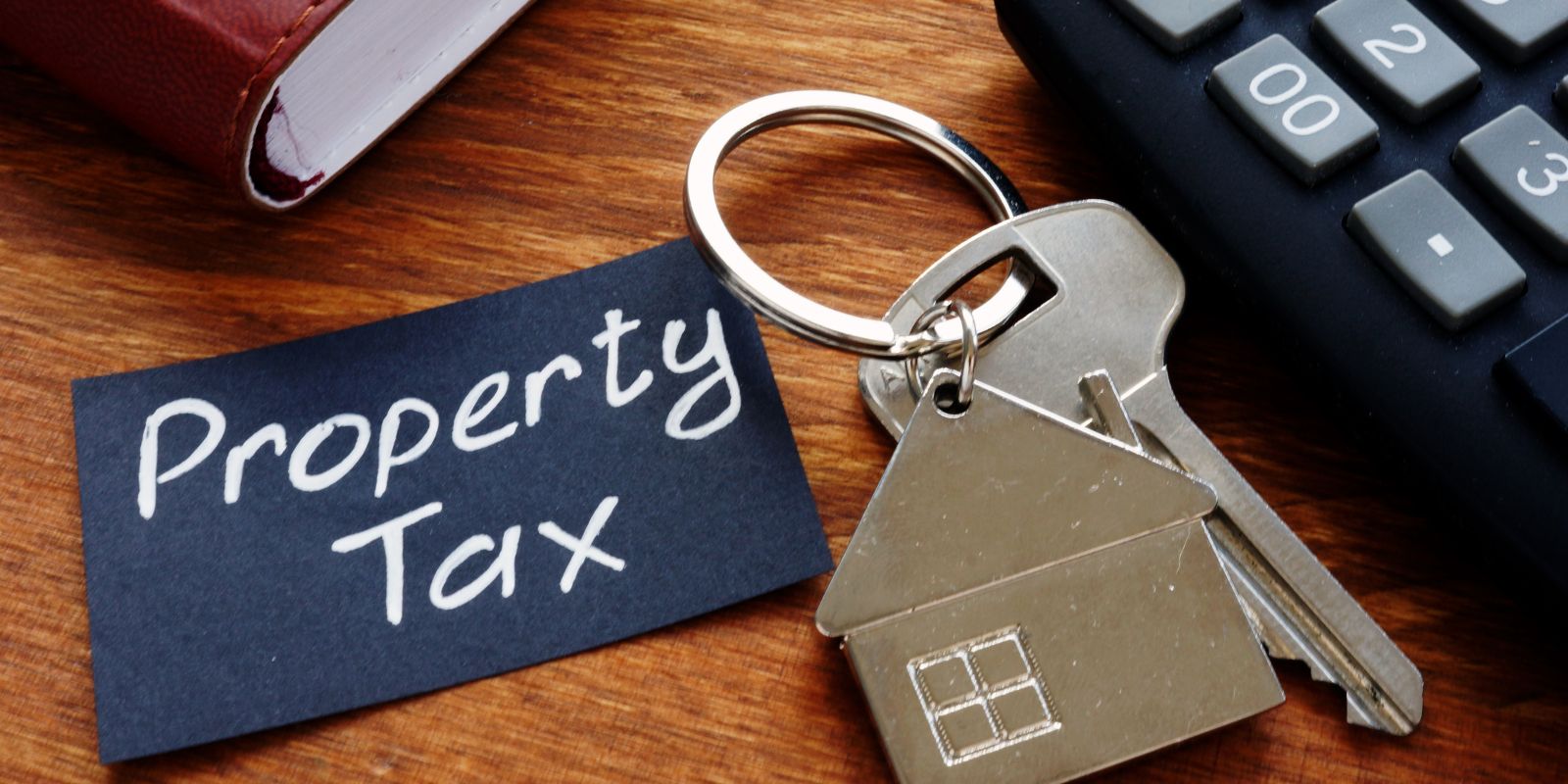 What Causes Property Tax Disputes?